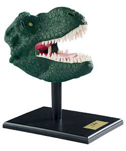 Enables budding sculptors to recreate a realistic facial likeness of a T.Rex on the skull provided,