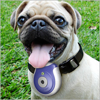 Unbranded Pet` Eye View Camera