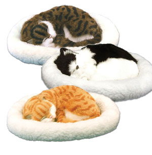 Unbranded Pet Nap Kittens