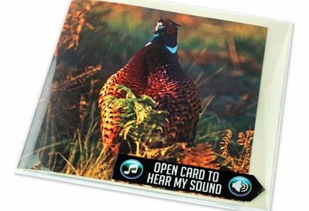 Pheasant Greeting Card with SoundThis lovely greetings card features a stunning image of a proud Pheasant on the front, photographed by Charles Sainsbury-Plaice. On the reverse, youll find interesting facts about this fascinating bird along with shoo