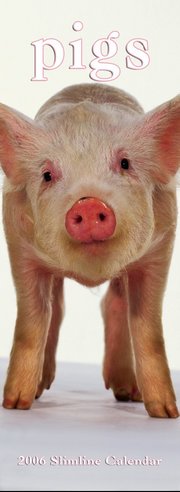 Pigs - SLIM Calendar