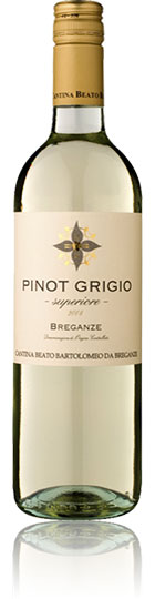 Unbranded Pinot Grigio Superiore 2008 Cantina Breganze