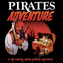 Unbranded Pirates Adventure with Transport - Adult