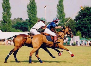 Unbranded Polo experience