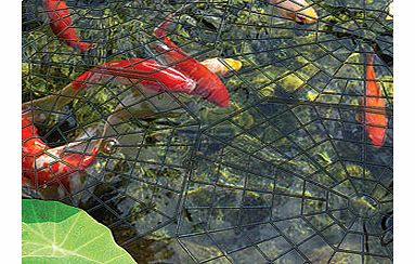Pond protection rings, the best way to protect your fish from predators. Far less obtrusive than ugly surface netting. Because herons and cats hunt from the edge of the water, these octagonal rings are designed to protect only the ponds perimeter,