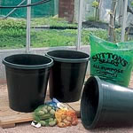 Unbranded Potato Patio Starter Kit 479287.htm