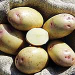 Unbranded Potato Vales Everest - 3kg 440075.htm