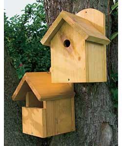 Premium Blue Tit and Robin nest.Boxes made from 19mm section timber.An attractive home for Robins,