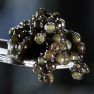 Unbranded Private Reserve - Royal Caspain Beluga Caviar (000 Grade)