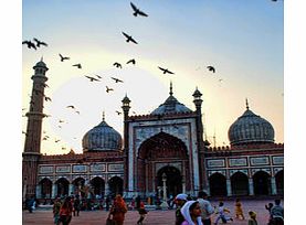 Explore the sights of Old and New Delhi on this informative tour. Visit the largest mosque in India, ride a rickshaw in Chandni Chowk, see the President House and drive past the India Gate.