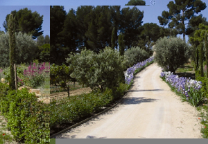 Provence Cookery Course for Two