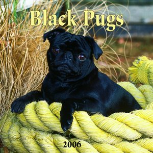 Pug - Black Calendar