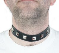 This dog collar or studded choker simply screams, 