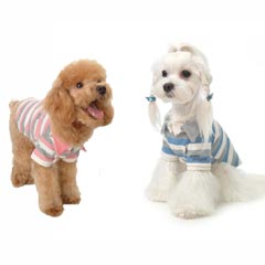 These polo shirts are smart enough for any occasion, and will ensure that your posh pup is the natti