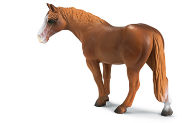 Unbranded Quarter Horse