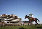 Unbranded Racegoers Restaurant Package for One at Newbury Racecourse