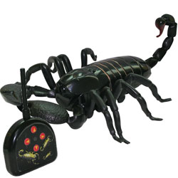 Unbranded Radio Controlled Scorpion