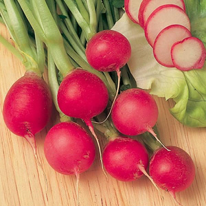 With its unique  pinkish red skin colour  this delightful radish makes a welcome addition to the sum