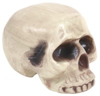Unbranded Realistic Halloween Skull