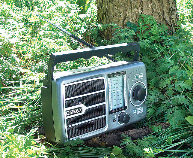 Unbranded Rechargable Radio