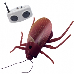 Unbranded Remote Controlled Cockroach