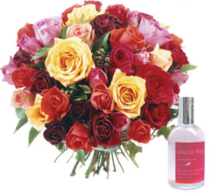 Roses and fragrances multicolour 25 roses
