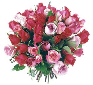 Round bouquet pink 31 roses