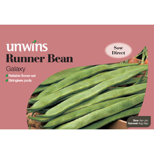 Unbranded Runner Bean Galaxy Seeds