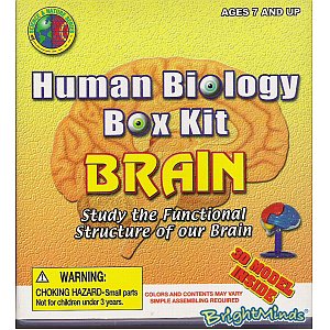 Unbranded Science Box Kit - Brain