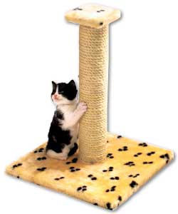 Scratching Post