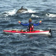 Paddle amongst seals and dolphins on this memorable adventure along the lush greenery coastline of t