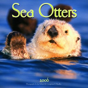Sea Otters Calendar
