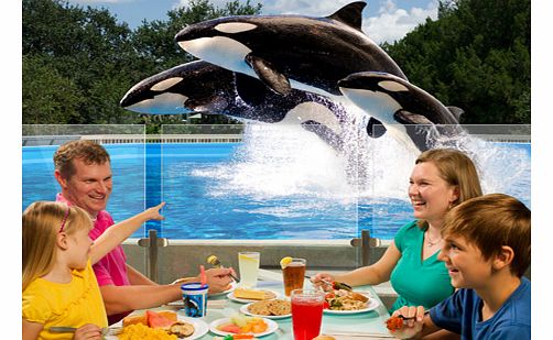 Dine with Shamu - Intro Dine with Shamu - one of the biggest stars at SeaWorld Orlando! This exclusive experience brings you closer than ever to SeaWorlds majestic Orcas (Killer Whales) at your specially-reserved poolside table. Dine with Shamu - Ful