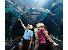 This is SeaWorld - the worlds best loved marine park! Take a seat at the sensational shows including One Ocean starring Shamu, enjoy up-close animal encounters and take the plunge on the thrilling rides. NOW includes six additional consecutive day