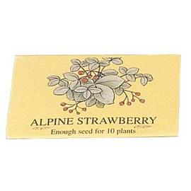 Unbranded Seed Sticks - Alpine Strawberry