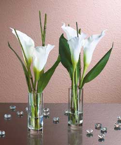 Set of 2 White Calla Lillies in Vases
