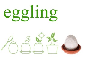 The Eggling - a real plant that you can hatch from an egg! The precious little Eggling looks and fee