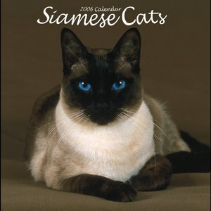 Siamese Cats Calendar