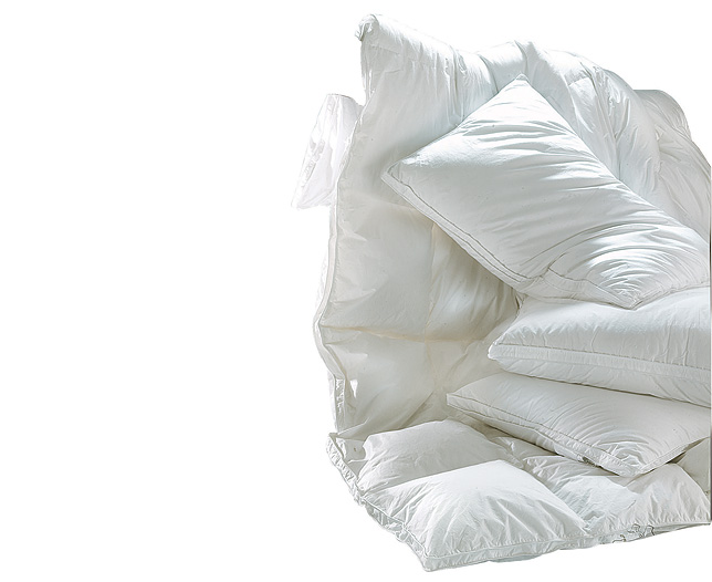 Unbranded Siberian Goosedown Standard Pillows (2)