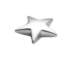 Luxurious silverplated star paperweight. Make it even more special by personalising it with an engra