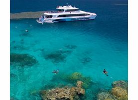 Silversonic is custom-designed for the thrill of snorkelling and diving. On this experience you will get to explore three different and exclusive sites on the outer Great Barrier Reef at the stunning Agincourt Ribbon Reefs.