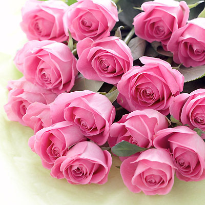 Unbranded simply Interflora - 20 Pink Roses