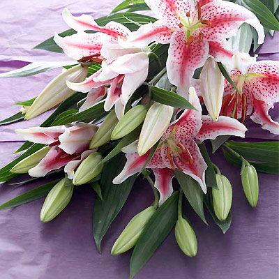 Unbranded simply Interflora - Oriental Lilies