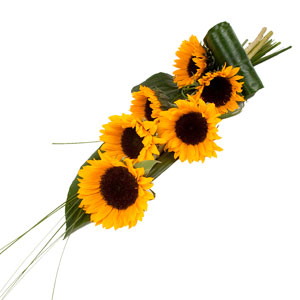 Unbranded Simply Sunflowers