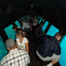 Unbranded Sinbad Submarine Under the Red Sea - Single