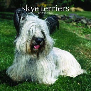 Skye Terrier Calendar