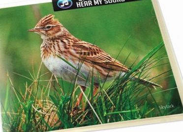 Unbranded Skylark Greeting Card with Sound 4554P