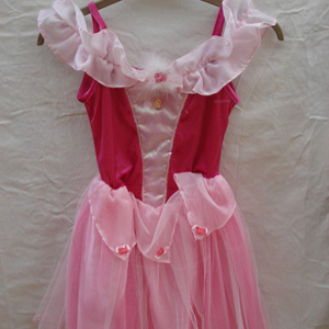 Beautiful light and airy Sleeping Beauty costume, as worn by Aurora as Brier Rose in the Classic