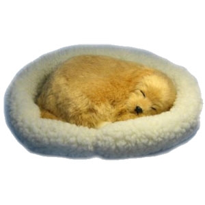 Unbranded Sleeping Pet Puppy - Pet Dreamz