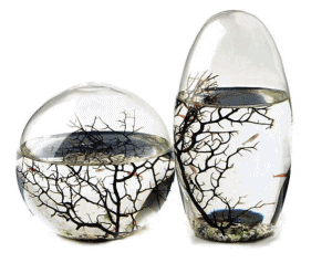 Unbranded Small Oval Original EcoSphere